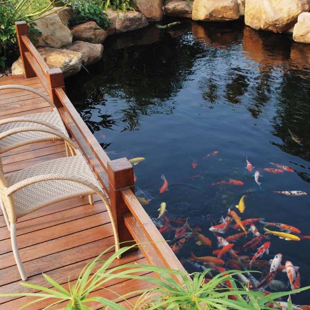 Raised Koi Pond With Deck