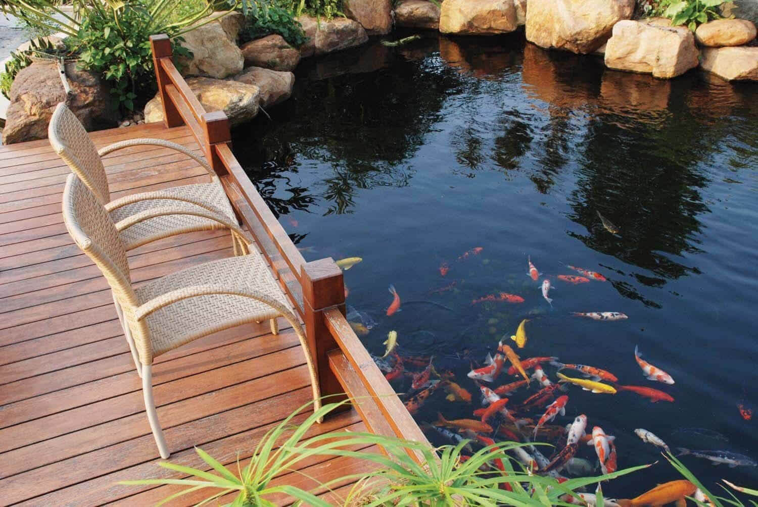 Perfect Ponds Pond Design Installation & Maintenance