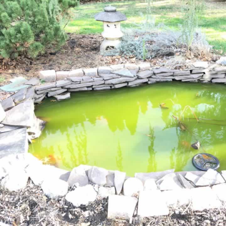 Pond Filtration + Pump Cleaning & Maintenance Perfect Ponds